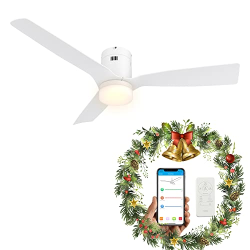 SMAAIR 52 Inch Smart Ceiling Fan with Lights and 10-speed DC Motor, Works with Remote Control/Alexa/Google Home/Siri Shortcut, Dimmable LED Light (White)
