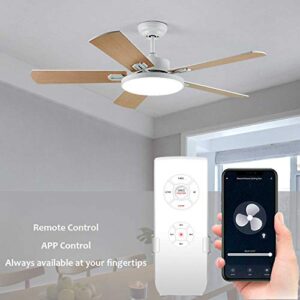 Smart WiFi Fan Switch Ceiling Fan and Light Remote Control Kit, WiFi Fan Controller Compatible with Alexa Google, Phone APP Control, No Hub Required, Universal Ceiling Fan Light Remote Control