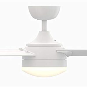 Fanimation Xeno Wet Indoor/Outdoor Ceiling Fan with Matte White Blades and LED Light Kit 56 inch - Matte White