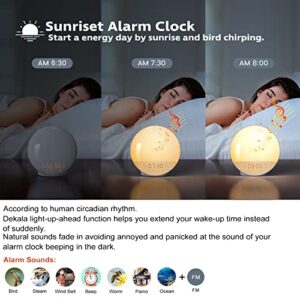 Sunrise Alarm Clock for Heavy Sleepers, Wake Up Light with Sunrise/Sunset Simulation, Dual Alarms & Natural Sounds, Snooze & Sleep Aid, FM Radio, 7 Colors Night Light for Bedroom, Ideal for Gift