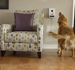 Wi-Fi Pet Camera & Treat Dispenser