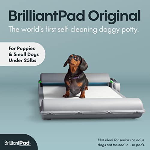 BrilliantPad Self-Cleaning, Automatic Indoor Dog Potty for Puppies and Small Dogs | Original Roll w/Plastic Rod & Caps Incl (Original 2.0 Machine w/Drip Lip, Gray)