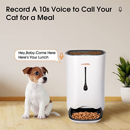 WOPET Automatic Cat Feeder with Camera,7L App Control Smart Feeder Cat Dog Food Dispenser,6-Meal Auto Pet Feeder with Timer Programmable,HD Camera for Voice and Video Recording