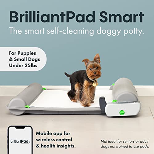 BrilliantPad Smart WiFi Enabled Indoor Dog Potty, Self-Cleaning Machine for Puppies & Small Dogs, Apple & Android Compatible App, Automatic Advancing Training Pad Roll Included