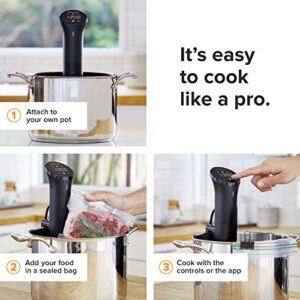 Anova Culinary AN400-US00 Nano Sous Vide Precision Cooker, 12.8" x 2.2" x 4.1", Black