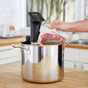 Anova Culinary Sous Vide Precision Cooker Pro, 1200 Watts, Black and Silver