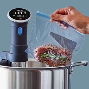 Anova Culinary Sous Vide Precision Cooker | WiFi + Bluetooth | 900W (Discontinued)