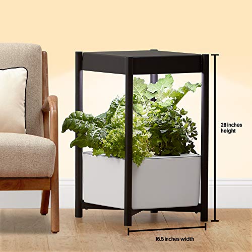 Miracle-Gro Twelve Indoor Growing System, Side Table with LED Grow Light for Year Round Gardening, Planter For Leafy Greens, Herbs & Flowers