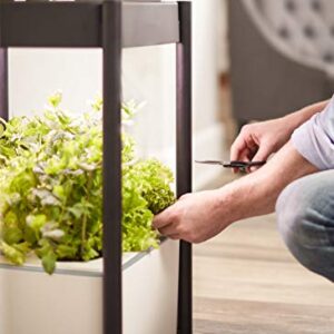 Miracle-Gro Twelve Indoor Growing System, Side Table with LED Grow Light for Year Round Gardening, Planter For Leafy Greens, Herbs & Flowers