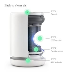 Molekule Air Mini & Air Mini+ – PECO-Filter,