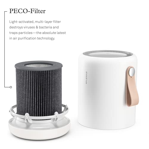 Molekule Air Mini & Air Mini+ – PECO-Filter,