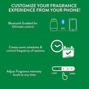 Air Wick Essential Mist Bluetooth Starter Kit, Essential Oil Diffuser (Diffuser + 2 Refills), Air Freshener, Lavender & Almond Blossom and Mandarin & Sweet Orange scents