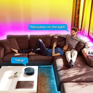 DAYBETTER Smart WiFi Led Lights 50ft, Tuya App Controlled Led Strip Lights, Work with Alexa and Google Assistant, Timer Schedule Led Lights Strip, Color Changing Led Lights for Bedroom Party Kitchen