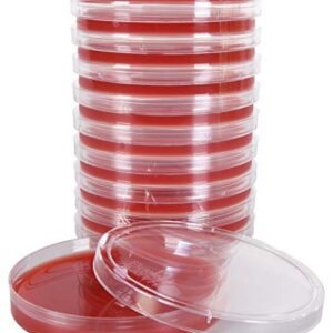 Blood Agar Plate, 5% Sheep Blood in Tryptic Soy Agar (TSA) Base, EH (Enhanced Hemolysis), 15x100mm Plate, Order by The Package of 10, by Hardy Diagnostics