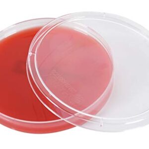 Blood Agar Plate, 5% Sheep Blood in Tryptic Soy Agar (TSA) Base, EH (Enhanced Hemolysis), 15x100mm Plate, Order by The Package of 10, by Hardy Diagnostics