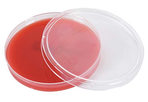 Blood Agar Plate, 5% Sheep Blood in Tryptic Soy Agar (TSA) Base, EH (Enhanced Hemolysis), 15x100mm Plate, Order by The Package of 10, by Hardy Diagnostics