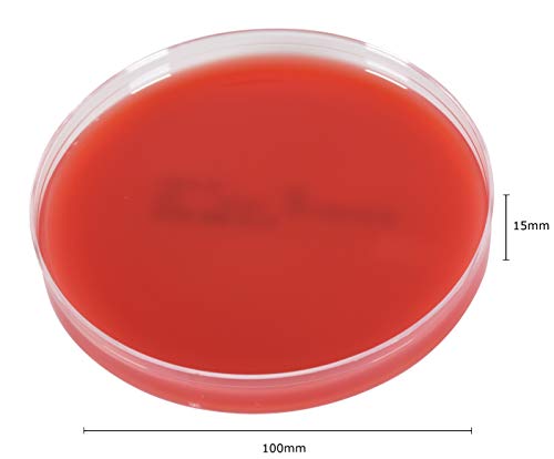 Blood Agar Plate, 5% Sheep Blood in Tryptic Soy Agar (TSA) Base, EH (Enhanced Hemolysis), 15x100mm Plate, Order by The Package of 10, by Hardy Diagnostics