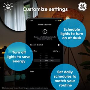 GE CYNC Smart LED Light Bulbs, Color Changing Lights, Bluetooth and Wi-Fi Lights, Works with Alexa and Google Home, A19 Light Bulbs, 2 count (Pack of 1)