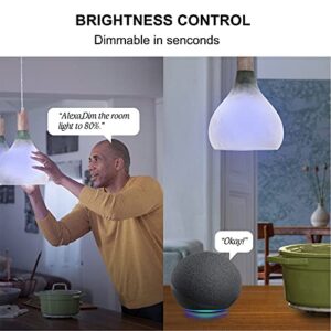 Sengled Smart WiFi Light Bulbs That Work with Alexa & Google Home, No Hub Required, LED Light Bulb A19 Soft White Light (2700K), 2 Pack