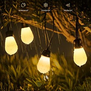 Govee Outdoor String Lights, 48ft WiFi Alexa String Lights with App Control, IP65 Waterproof Outdoor Lights with 15 Dimmable Warm White LED Bulbs for Balcony, Backyard, Party