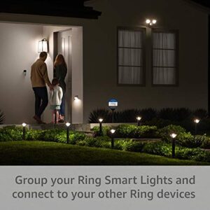 Ring Solar Pathlight - Outdoor Motion-Sensor Security Light, Black (Bridge required)