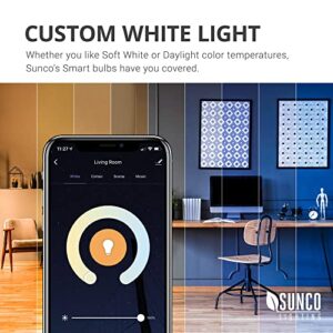 Sunco Lighting 10 Pack BR30 Alexa Smart Flood Light Bulbs, Color Changing LED Recessed WiFi Bulb, 8W, RGBCW, Dimmable, 650 LM, Compatible with Alexa & Google Assistant, E26 Base, No Hub Required