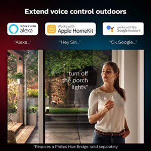 Philips Hue White & Color Ambiance Appear Outdoor Wall Light Fixture (Hue Hub Required, Compatible with Alexa, Apple Homekit & Google Assistant), Black