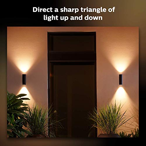 Philips Hue White & Color Ambiance Appear Outdoor Wall Light Fixture (Hue Hub Required, Compatible with Alexa, Apple Homekit & Google Assistant), Black