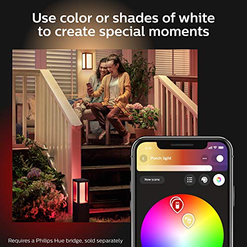 Philips Hue Econic Outdoor White & Color Wall & Ceiling Light Fixture (Hue Hub Required, Compatible with Alexa, Apple Homekit & Google Assistant)