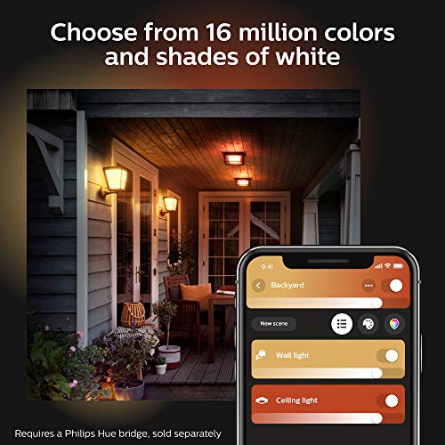 Philips Hue Econic Outdoor White & Color Wall & Ceiling Light Fixture (Hue Hub Required, Compatible with Alexa, Apple Homekit & Google Assistant)