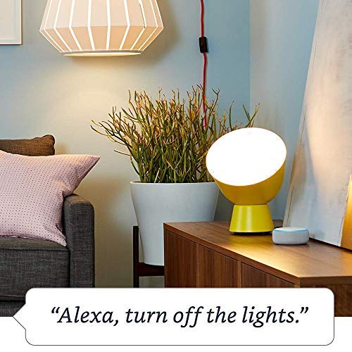 Amazon Smart Plug, for home automation, Works with Alexa - A Certified for Humans Device