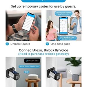 WELOCK Safer Keyless Entry Door Lock Deadbolt, Smart Bluetooth Locks Deadbolt Digital Electric Door Lock with Keypad APP Control IC Card Mechanical Key, Easy to Install