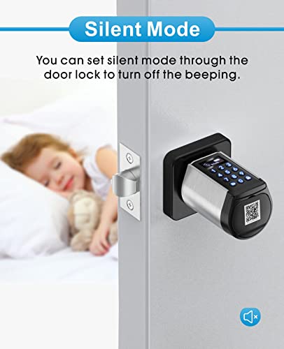 WELOCK Safer Keyless Entry Door Lock Deadbolt, Smart Bluetooth Locks Deadbolt Digital Electric Door Lock with Keypad APP Control IC Card Mechanical Key, Easy to Install