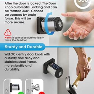 WELOCK Safer Keyless Entry Door Lock Deadbolt, Smart Bluetooth Locks Deadbolt Digital Electric Door Lock with Keypad APP Control IC Card Mechanical Key, Easy to Install