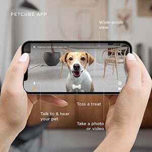 Petcube Bites 2 Lite Interactive WiFi Pet Monitoring Camera with Phone App and Treat Dispenser, 1080p HD Video, Night Vision, Two-Way Audio, Sound and Motion Alerts, Cat and Dog Monitor