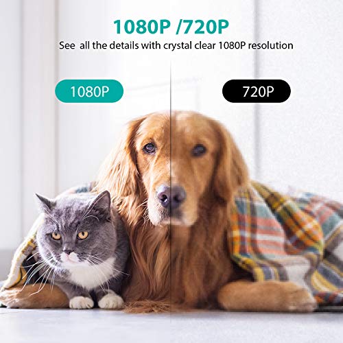 Netvue Indoor Camera, Enhanced Security Camera with Advanced AI Skills for Pet/Baby/Nanny, 1080P FHD 2.4GHz WiFi Night Vision Home Camera, 2-Way Audio Dog Camera Cloud Storage/TF Card, Black