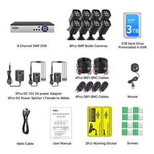 [H.265+ Face Detection] Hiseeu 5MP 8ch Security Camera System, 3TB HDD Home CCTV Camera Security System w/8pcs Security Cameras Outdoor&Indoor, Remote Access, Motion Detect, Night Vision, 24/7 Record