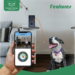 Owlet Home Pet Camera with Treat Dispenser Tossing for Dogs/Cats, 2.4Ghz & 5Ghz WiFi, 1080P Camera, Live Video, Auto Night Vision, 2-Way Audio, Compatible with Alexa, pre-Recorded Voice Message