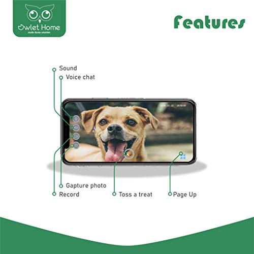 Owlet Home Pet Camera with Treat Dispenser Tossing for Dogs/Cats, 2.4Ghz & 5Ghz WiFi, 1080P Camera, Live Video, Auto Night Vision, 2-Way Audio, Compatible with Alexa, pre-Recorded Voice Message