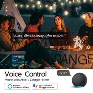 Smart Plugs That Work with Alexa Google Home Siri, Wireless 2.4G WiFi Outlet Controlled by Smart Life Tuya Avatar Controls APP, 10A Mini Socket Enchufe Inteligente with Timer, Dimmer, 1 Pack