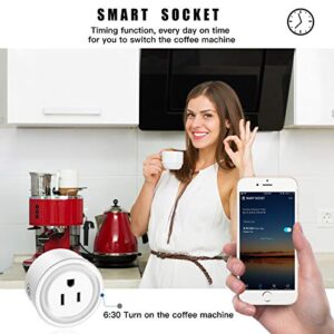 Smart Plug 4Pack, WiFi Plugs Compatible with Alexa & Google Assistant, Smart Outlet with Timer Schedule, WiFi Socket for Home, No Hub Required, FCC Certified, 2.4G WiFi Only