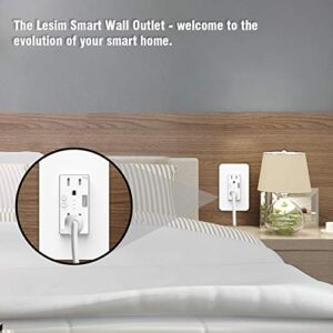 Smart WiFi Wall Outlet Plug, WiFi Wall Socket Duplex Receptacle, 15 Amp with 2 Independent Control, Compatible with Amazon Alexa and Google Home