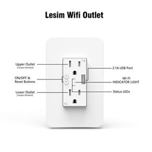 Smart WiFi Wall Outlet Plug, WiFi Wall Socket Duplex Receptacle, 15 Amp with 2 Independent Control, Compatible with Amazon Alexa and Google Home