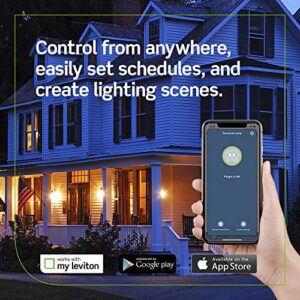 Leviton DW15P-1BW Decora Smart Wi-Fi Mini Plug-In Outlet, No Hub Required, Works with Alexa, Google Assistant and Nest