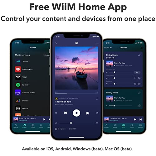 WiiM Mini AirPlay2 Wireless Audio Streamer, Multiroom Stereo, Preamplifier, Works with Alexa and Siri Voice Assistants, Stream Hi-Res Audio from Spotify, Amazon Music and More