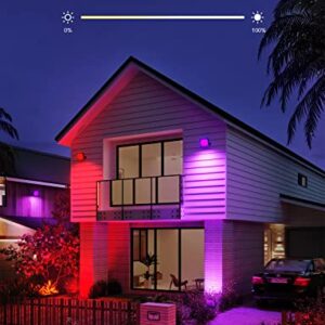 Govee Outdoor Lights, Flood Lights Uplight 2 in 1, LED Landscape Lighting, 35 Scene Modes, 4 Music Modes, Smart Color Changing IP65 Waterproof, App Control, Patio Lights, Garden Yards Walls, 4 Pack