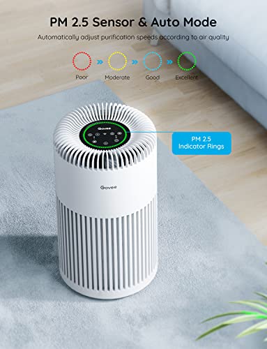 Govee Air Purifiers Pro for Home Large Room up to 1837ft² with PM2.5 Sensor, WiFi Smart Home Air Purifier Large Room, H13 True Hepa Air Purifier for Smoke, Pet Hair, Odors, 24dB Air Cleaner, Auto Mode