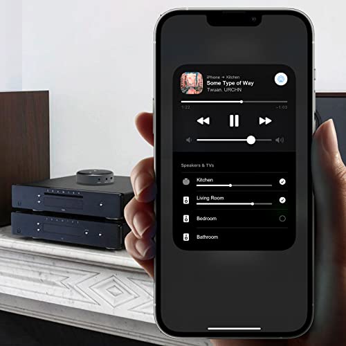 Wiim Mini Airplay 2 Music Streamer, WiFi & Bluetooth Multiroom/Multizone Audio Receiver Within Spotify/Tidal Connect & 192khz/24bit Hi-Res Audio, Works with Siri & Alexa Voice Assistant.