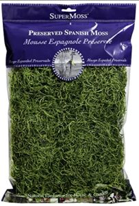 supermoss (26912) spanish moss preserved, grass, 8oz (200 cubic inch)