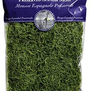 SuperMoss (26912) Spanish Moss Preserved, Grass, 8oz (200 cubic inch)